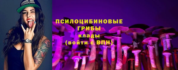 амф Елизово