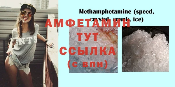 индика Зеленокумск