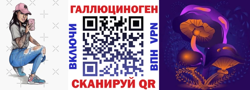 купить   Новомичуринск  Галлюциногенные грибы GOLDEN TEACHER 